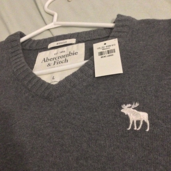 Men’s LARGE Grey Abercrombie & Fitch V-Neck Sweater - Picture 2 of 4